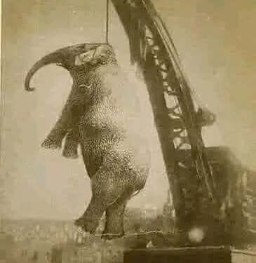 ඇයව එල්ලා මරන්න තීරණය කල සංවේදී කතාව