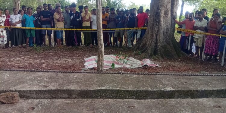 පෙමක් ගිය දුරක්