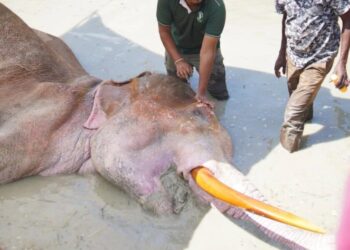 භාතිය ගැන මේ දැන් ලැබුණු ආරංචිය