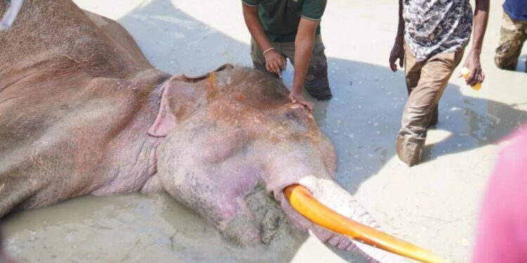 භාතිය ගැන මේ දැන් ලැබුණු ආරංචිය