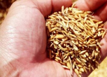 ගොවීන්ට සුබ පණිවුඩයක් – වී මිල මෙන්න