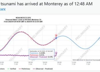 සුනාමි රළ කැලිෆෝනියා වෙරළ තීරයටත්
