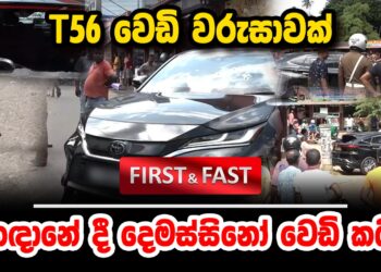 කඳානේ දෙමස්සිනෝ වෙඩි කයි (video)