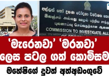 ‘මැරෙනවා’ ‘මරනවා’ ලෙස පටලගත් කොමිසම – මහේෂිගේ දුවත් අත්අඩංගුවේ (video)