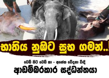 වෙඩි පිට වෙඩි කා අනේක වේදනා විඳි ආඩම්බරකාර සද්ධන්තයා (video)