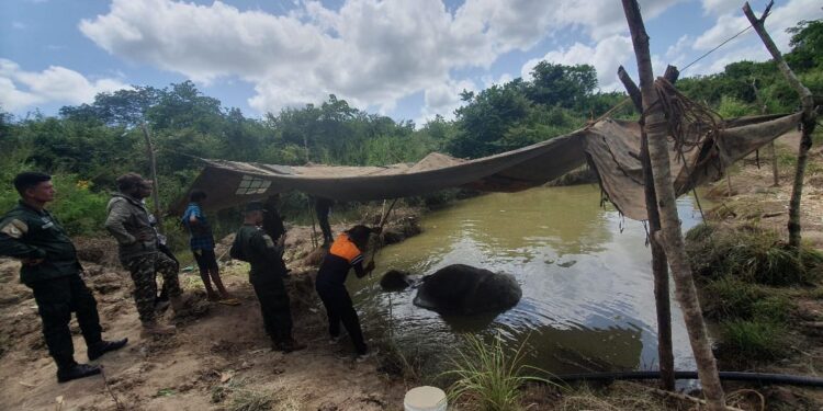 භාතියට ප්රතිකාර කිරීම සඳහා යුද්ධ හමුදාවේ සහාය