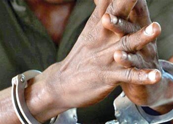 “හරක් බණ්ඩා” අත් අඩංගුවට