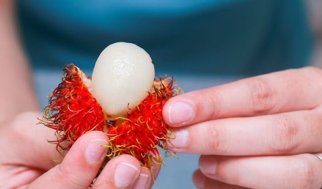 දරුවන්ට රඹුටන් දෙන්නේ පරිස්සමින් !