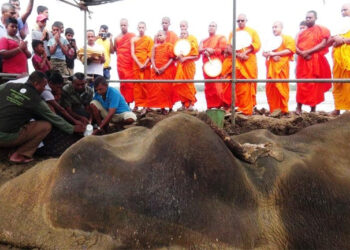 කණ්ඩලමේ හැඩකාරයාට පිං අනුමෝදනා