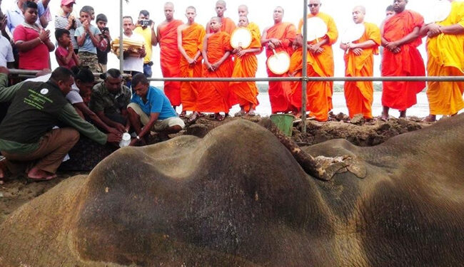 කණ්ඩලමේ හැඩකාරයාට පිං අනුමෝදනා