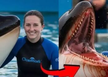 ලෝකයේම වෛරල් වූ සංවේදී  AI වීඩියෝවේ කතාව ඇත්තක්