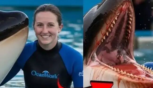 ලෝකයේම වෛරල් වූ සංවේදී  AI වීඩියෝවේ කතාව ඇත්තක්