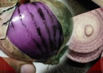 ළූණු මතුපිට කළු පාටට තියනවා නම් මේ ගැනත් දැනගන්න