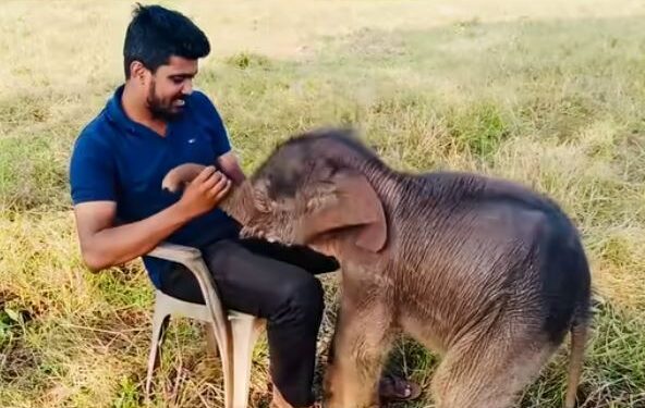 අහිමි මව් සෙනෙහස  (VEDIO)