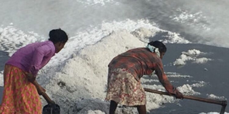 අලිමංකඩ – උතුර ලුණු ලේවාය ආයෙත් වැඩ