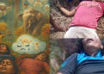 බ්‍රේකින් නිවුස් !!! අලි ප්‍රහාරයකින් සිදු වූ සිත් කම්පා කරවන සිදුවීමක්!