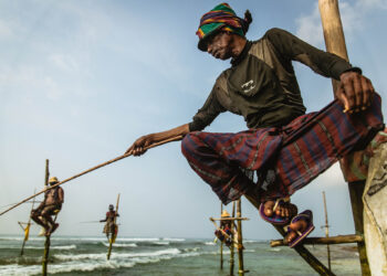 ධීවර ක්ෂේත්රය නවීකරණයට සහ ඩිජිටල්කරණයට