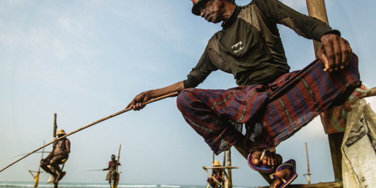 ධීවර ක්ෂේත්රය නවීකරණයට සහ ඩිජිටල්කරණයට