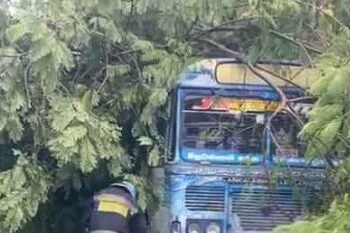 බස් රථයකට ගසක් කඩා වැටෙයි