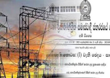 විදුලි බලය සැපයීම සම්බන්ධ සියලු සේවාවන් අත්යාවශ්ය සේවාවක් බවට පත් කරයි