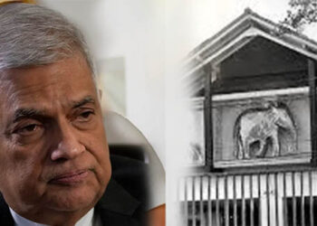 රනිල් වික්රමසිංහගේ සෞඛ්ය තත්ත්වය මත එජාප සංවත්සරය කල් යයි