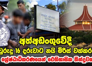 අවුරුදු 16 දරුවාට අත්අඩංගුවේදී නයි මිරිස් වක්කරලා | ශ්‍රේෂ්ඨාධිකරණයෙන් ඓතිහාසික තීන්දුවක්