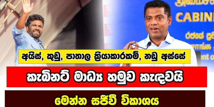 අයිස්, කුඩු පාතාල ක්‍රියාකාරකම්, නඩු අස්සේ කැබිනට් මාධ්‍ය හමුව කැඳවයි