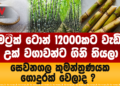 මෙට්‍රික් ටොන් 12000කට වැඩිය උක් වගාවන්ට ගිනි තියලා