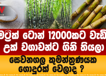 මෙට්රික් ටොන් 12000කට වැඩිය උක් වගාවන්ට ගිනි තියලා