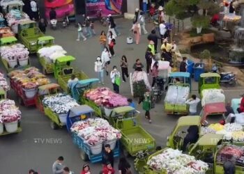 ලොවම වසඟ කළ චීනයේ මල් නගරය