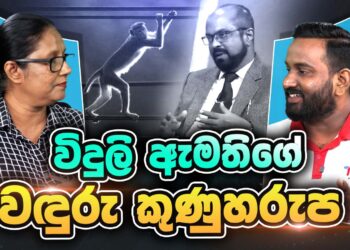 විදුලි ඇමතිගේ වඳුරු කුණුහරුප (VIDEO)