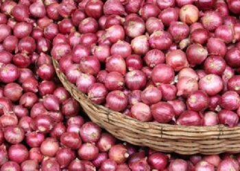 ලොකු ළූණු ගැන ඇහෙන කතා