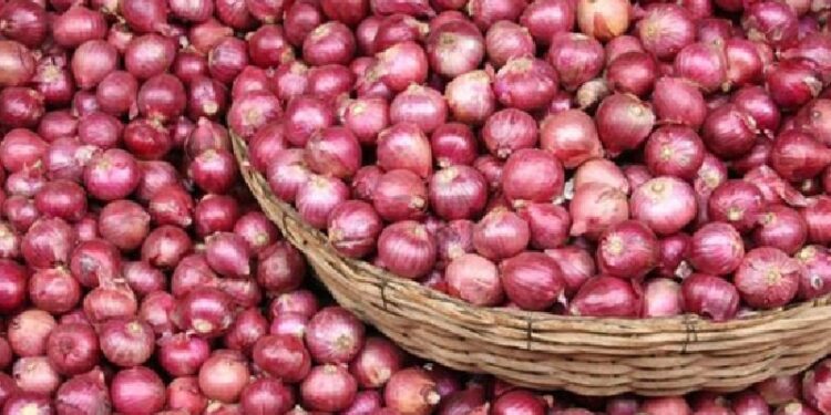 ලොකු ළූණු ගැන ඇහෙන කතා