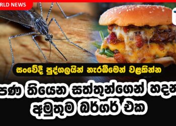 සංවේදි පුද්ගලයන් නැරඹිමෙන් වළකින්න