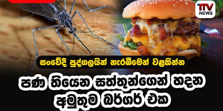 සංවේදි පුද්ගලයන් නැරඹිමෙන් වළකින්න