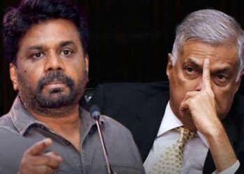 රනිල්ගේ ලයිසන් අනුර අනුමත කරයි