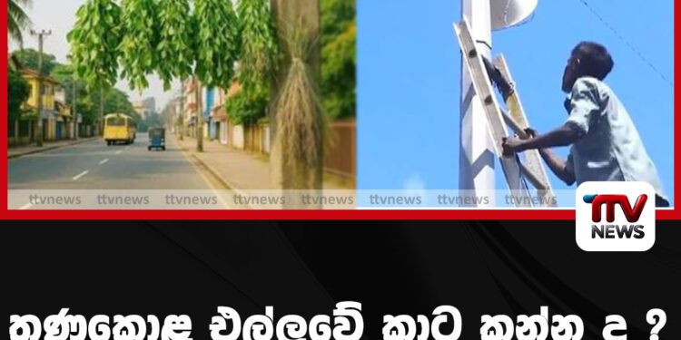 තණකොළ එල්ලුවේ කාට කන්න ද ? ශබ්ද විකාශන යන්ත්‍රත් ගලෝලා