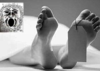 ශ්රී, මට සමාවෙන්න. මට මේ කූඹියොත් එක්ක ජීවත් වෙන්න බෑ