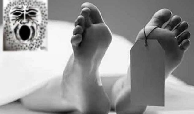 ශ්රී, මට සමාවෙන්න. මට මේ කූඹියොත් එක්ක ජීවත් වෙන්න බෑ