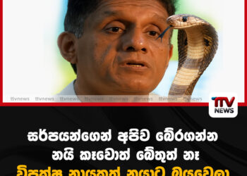 සර්පයන්ගෙන් අපිව බේරගන්න – නයි කෑවොත් බේතුත් නෑ විපක්ෂ නායකත් නයාට බයවෙලා