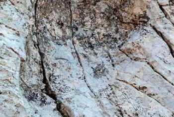 කාගෙද මේ පාද  – වසර මිලියන 210කට වඩා පැරණි පා සටහන්  මතුවෙයි