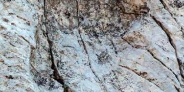 කාගෙද මේ පාද  – වසර මිලියන 210කට වඩා පැරණි පා සටහන්  මතුවෙයි