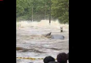 දරුවන් දෙදෙනාත් සමග මව  මල්අතු ඔයට පනියි