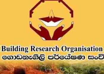 සිරිපා වන්දනාකරුවන්ට විශේෂ නිවේදනයක්