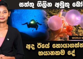අද ඊයේ හොයාගත්ත භයානකම දේ