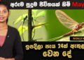 අපිට මේ ලෝකේ දවසක් විතරක් ජිවත් වෙන්න උනොත් කොහොම වෙයිද ?