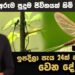 අපිට මේ ලෝකේ දවසක් විතරක් ජිවත් වෙන්න උනොත් කොහොම වෙයිද ?