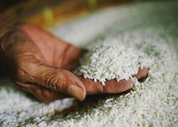 සහල් මිලට වෙනදේ