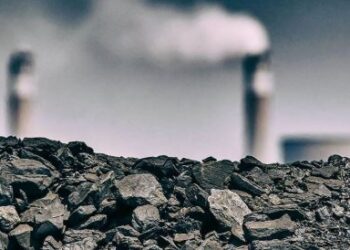 ප්‍රමිතියෙන් තොර ගල්අඟුරු නිසා විදුලි කප්පාදුවක අවදානමක් : පාර්ලිමේන්තු මන්ත්‍රී එස්.එම්. මරික්කාර් අනතුරු අඟවයි