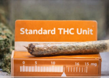 ගංජා මතේ ප්‍රමාණය මනිනත් මීටරයක්… සෞඛ්‍ය අවදානම හඳුනාගැනීමට නව සොයාගැනීමක්